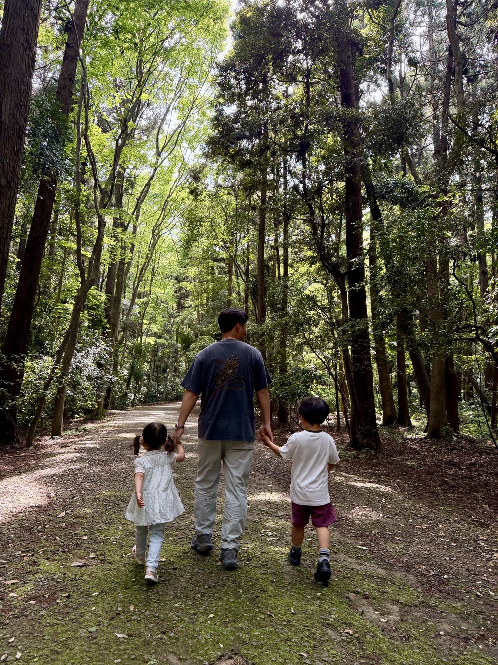 子どもたちと鹿島神宮の森を歩く